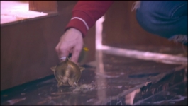 Vanshaj - 2nd October 2023